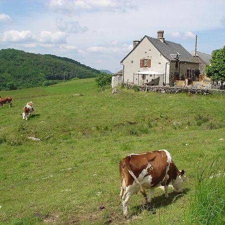 Chez Marraine Villa Sauvat Exterior foto